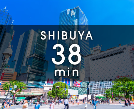 Shibuya 38min