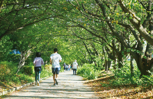 三橋総合公園