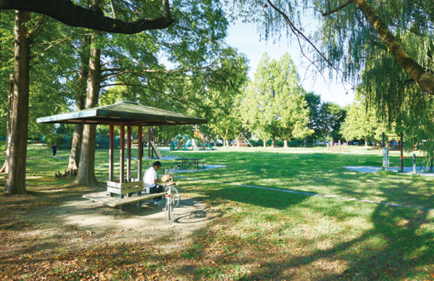 三橋総合公園